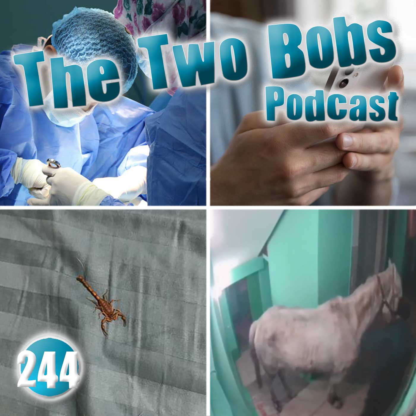 TTB244: Severed Ducts